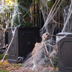 Spinnennetz Deko – Dehnbares Cobweb mit Spinne
